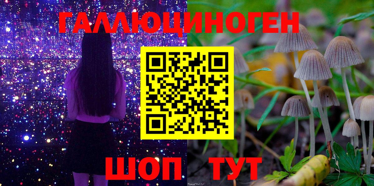 Псилоцибиновые грибы MAGIC MUSHROOMS Урус-Мартан