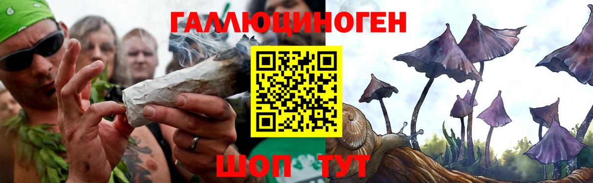 Урус-Мартан  Псилоцибиновые грибы Psilocybe  Вход с VPN 